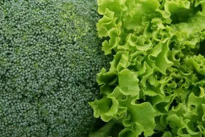 Salade
