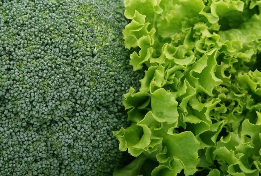 Salade