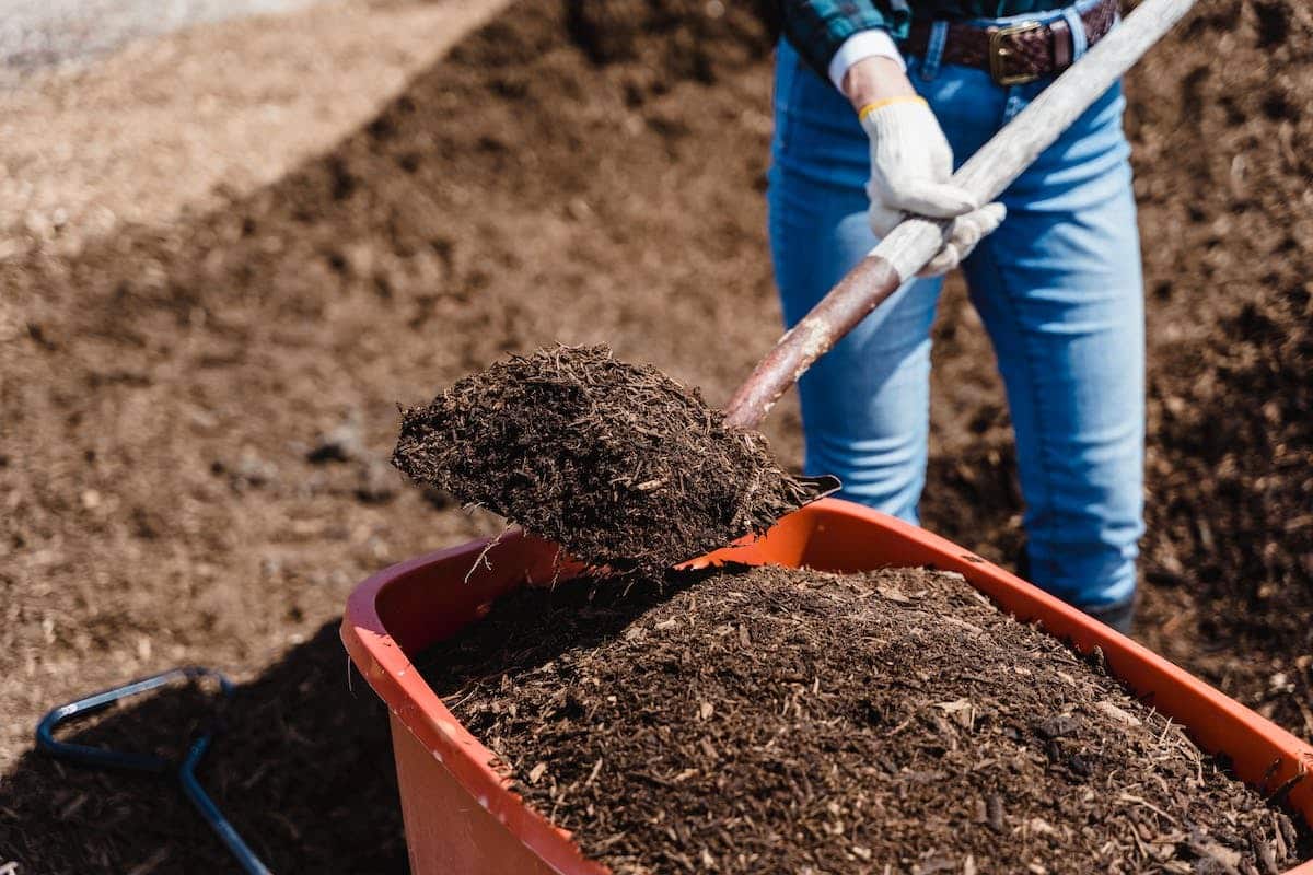 compost potager
