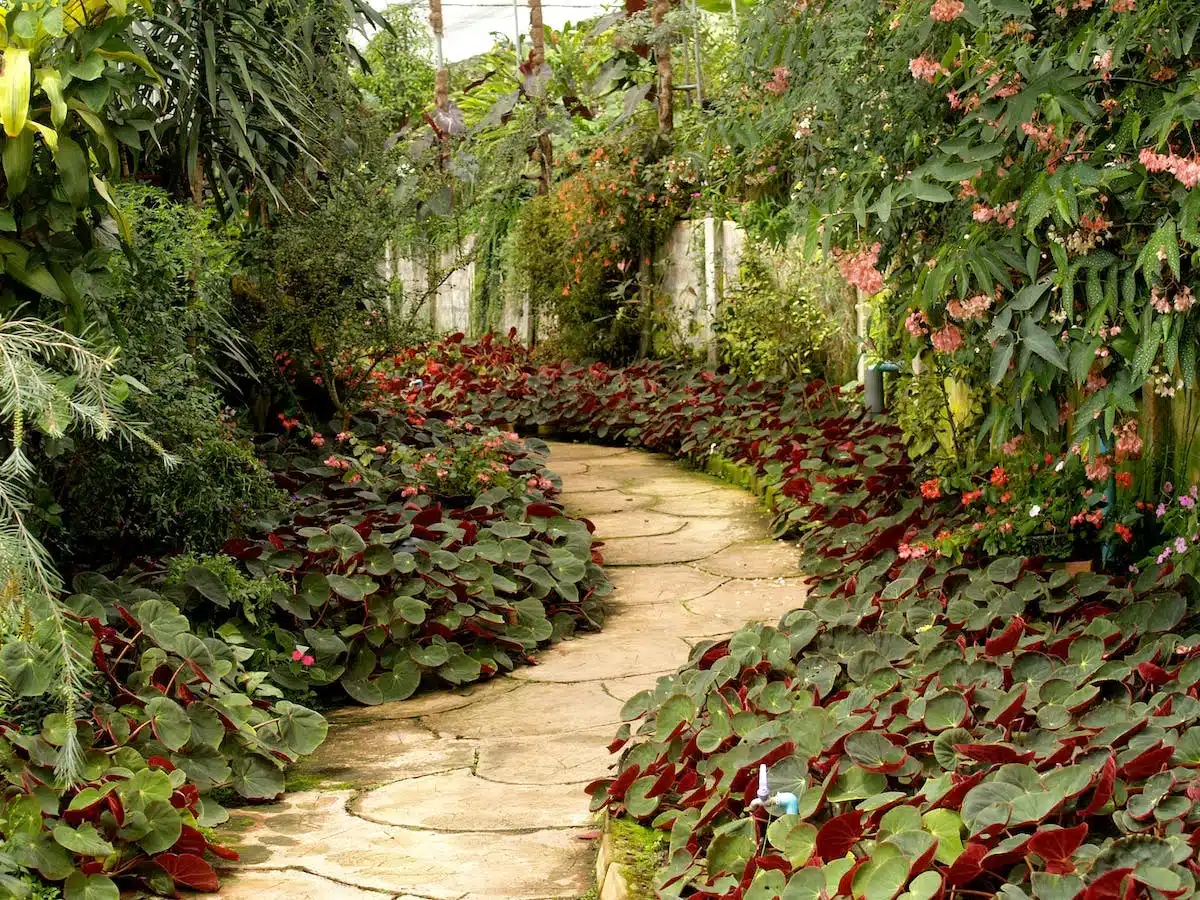 jardin paisible