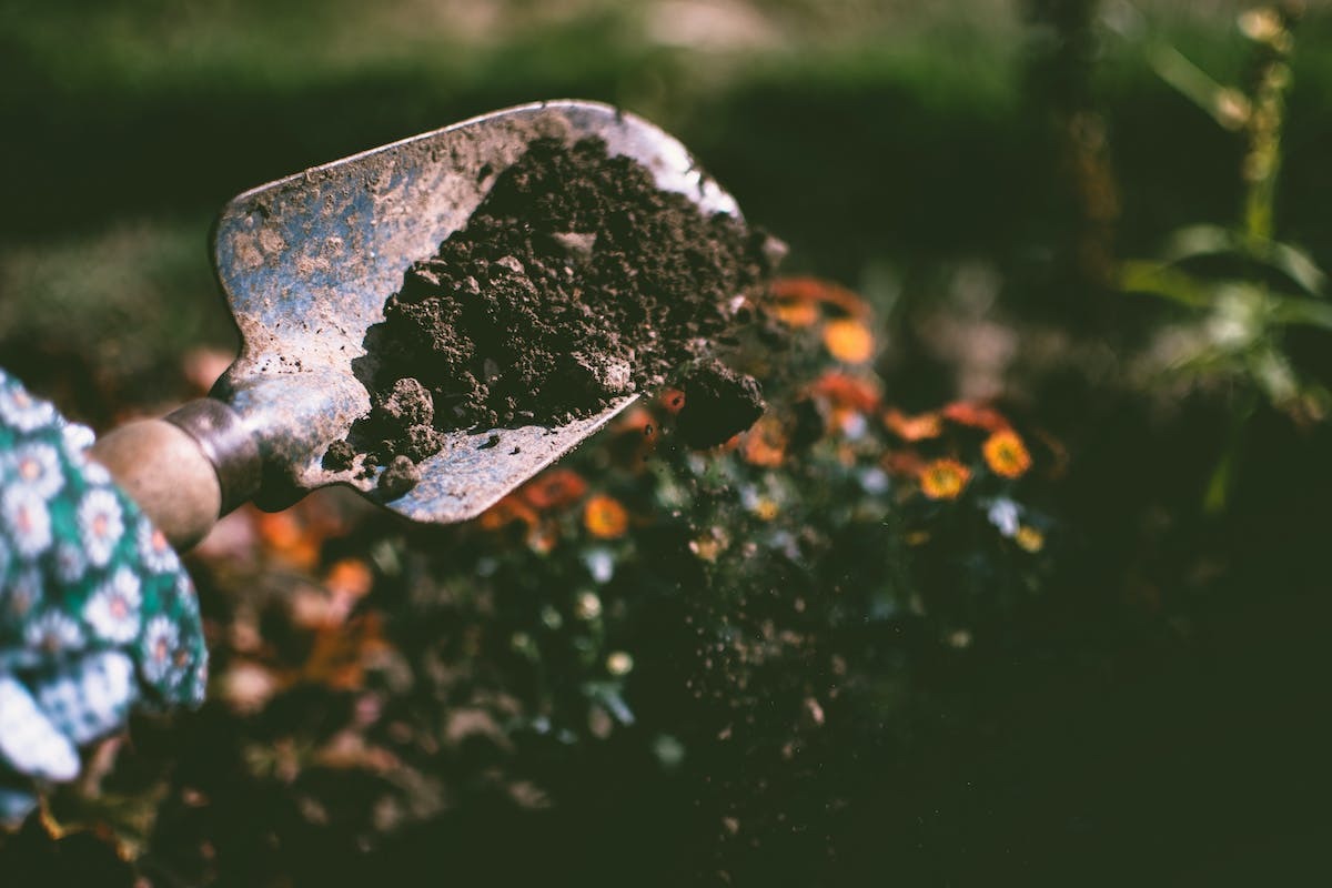 potager  équipements