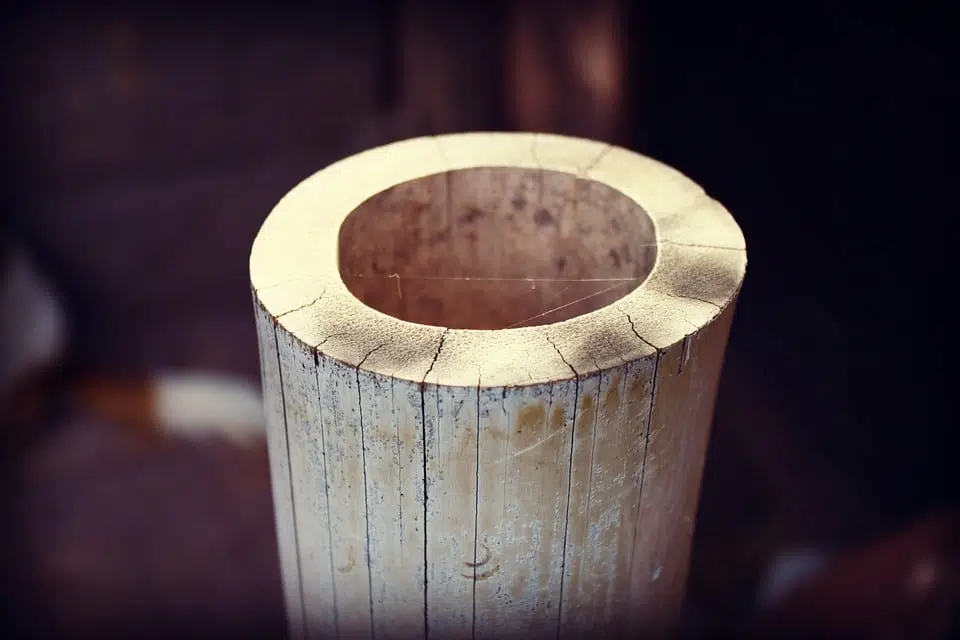 Canisse-bambou