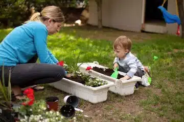 Les bienfaits du jardinage pour l'environnement