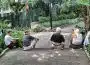 four persons sitting on gray surface