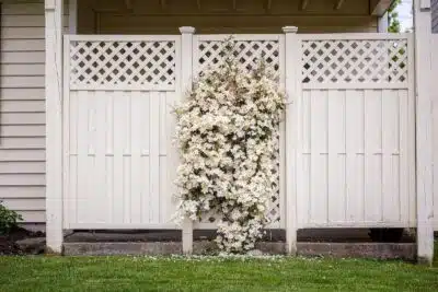 Les dernières tendances en bordure de jardin pour l'été 2023